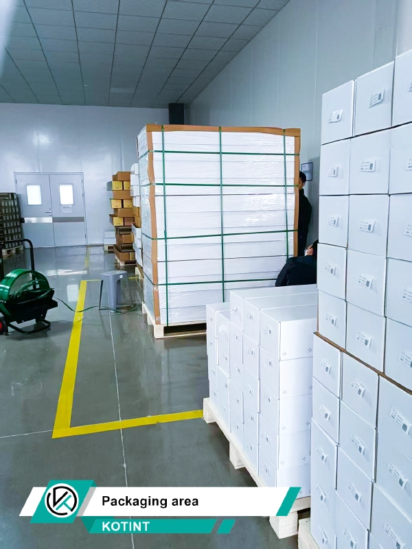 10_Packaging area
